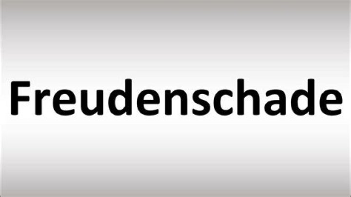 What is Freudenschade?
