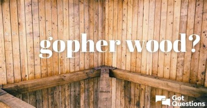 What is gopher wood in the Bible?