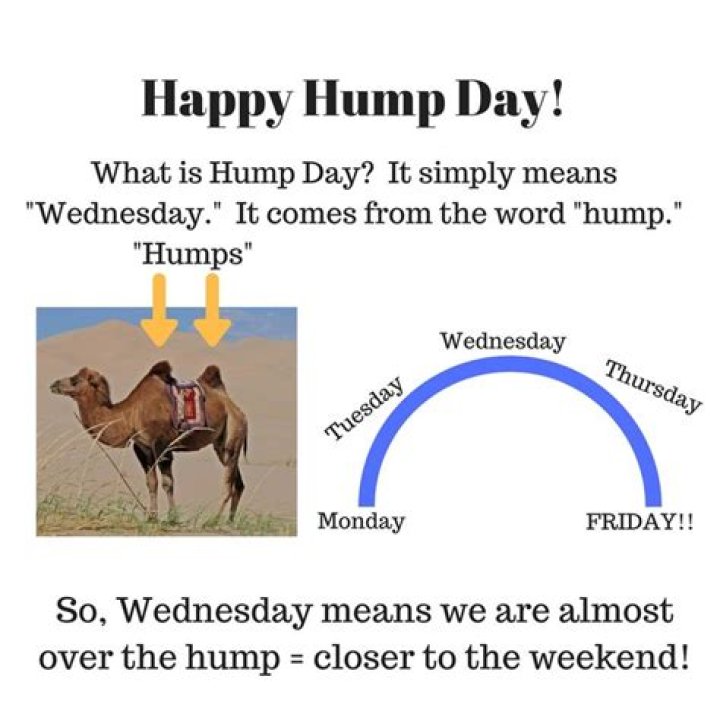 What is hump day '?