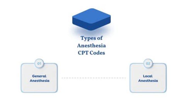 What is included in the anesthesia codes?