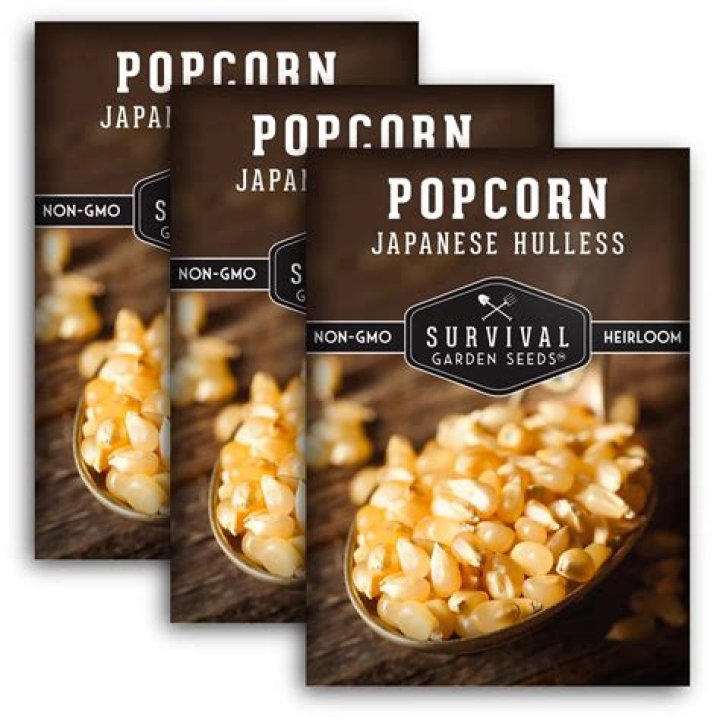 What is Japanese hulless popcorn?