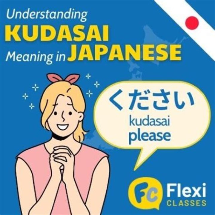 What is Kudasai Japanese?