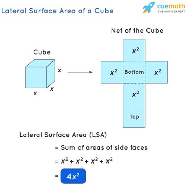 What is lateral and total surface area?