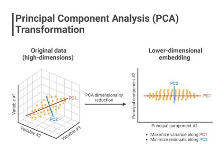 What is meant by dimensionality?