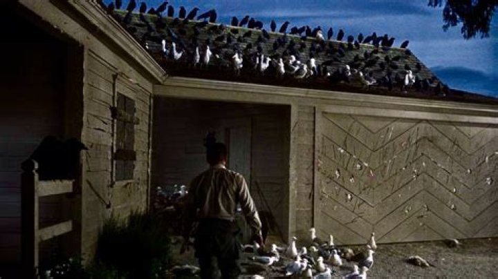 What is Melanie's aunt named in The Birds movie?