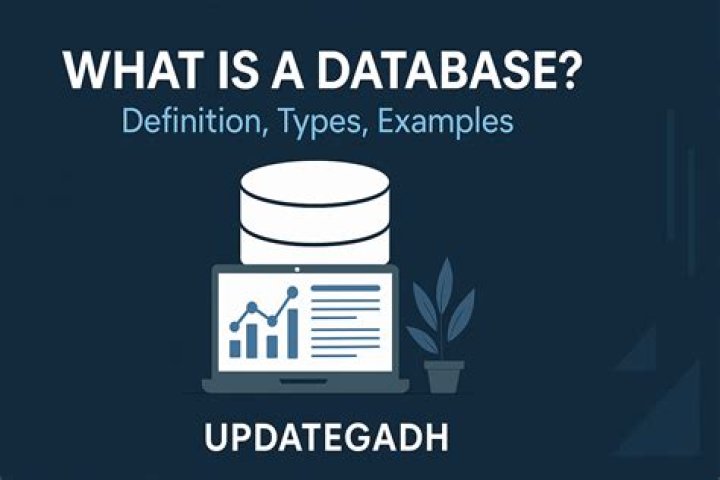 What is NLS database?