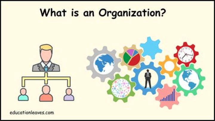 What is organization transfer?