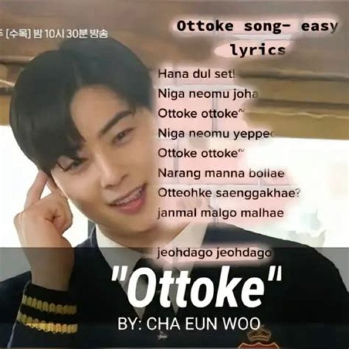 What is Ottoke English?