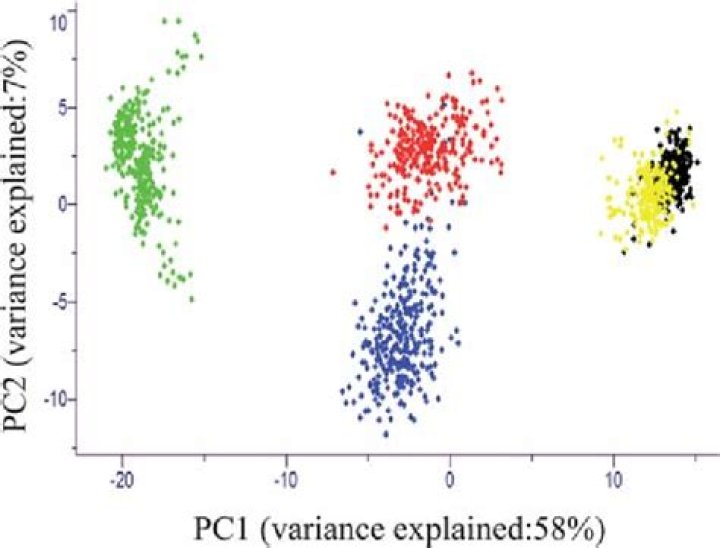What is PC1 and PC2 in PCA?