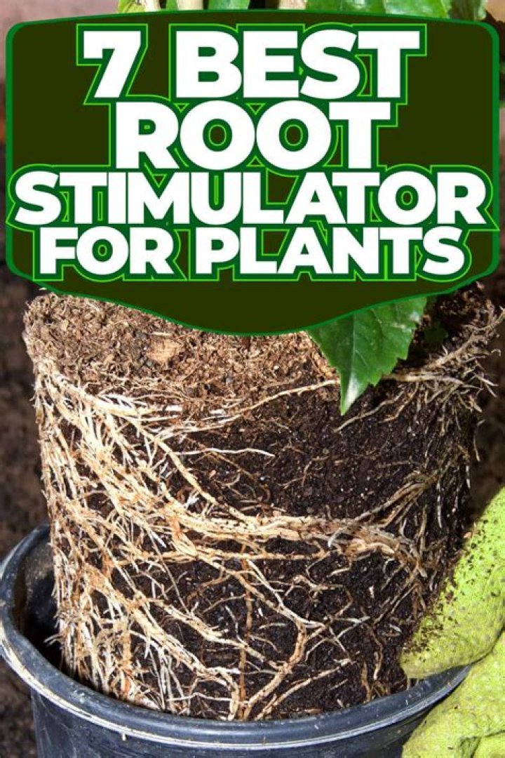 What is plant root stimulator?