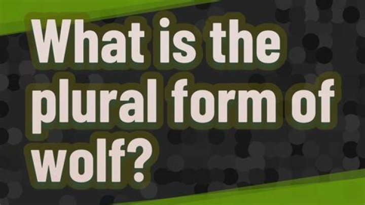 What is plural for Wolf?