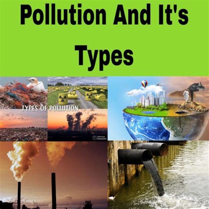 What is pollution short essay?