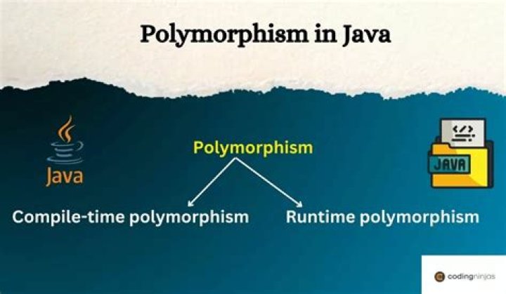 What is polymorphism in TypeScript?