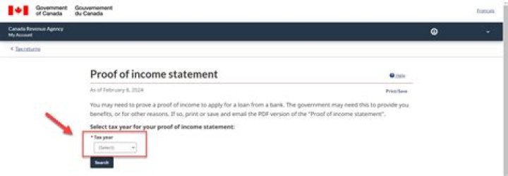 What is proof of income statement?
