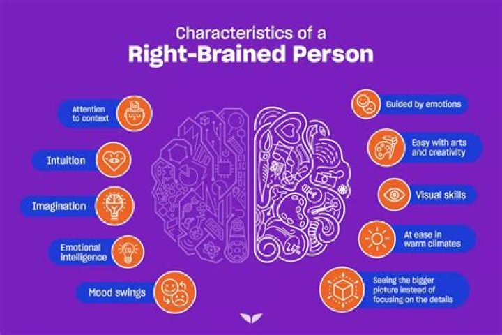 What is right brain responsible for?