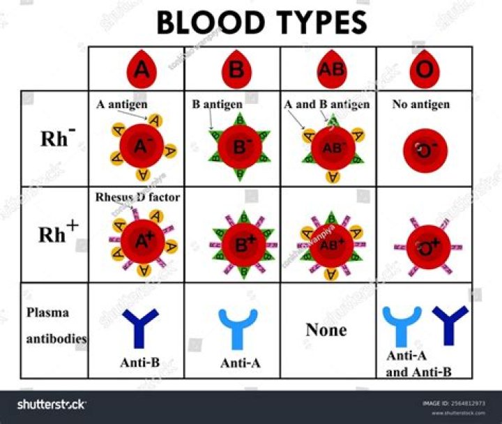 What is secret blood type?