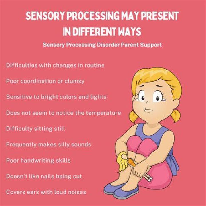 What is sensory processing disorder?