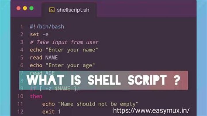 What is set in shell script?