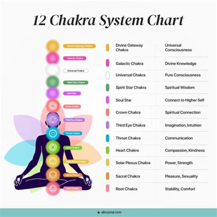 What is Shino's chakra nature?