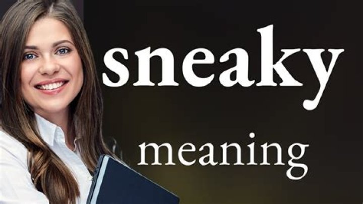 What is sneaky behavior?