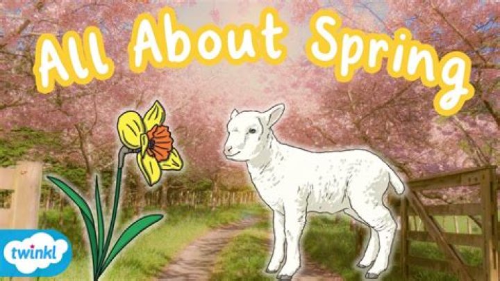 What is spring Sepedi?