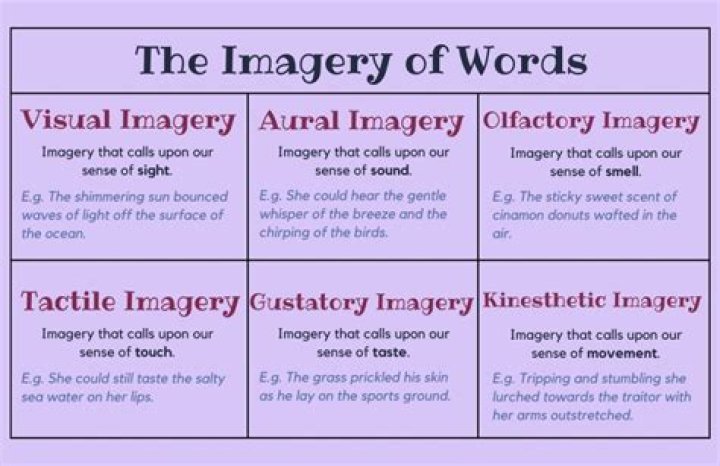 What is taste imagery called?