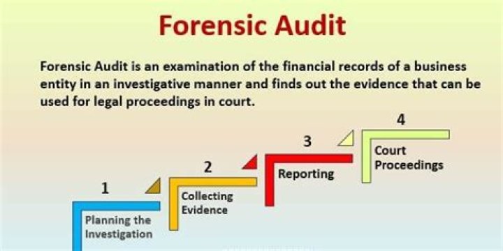 What is the average cost of a forensic audit?