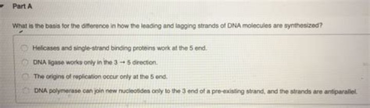 What is the basis for the difference in how the leading and lagging strands of DNA molecules are synthesized?