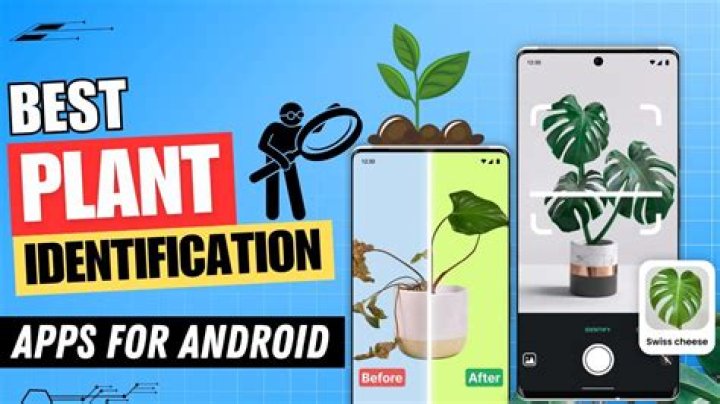 What is the best app for identifying plants and trees?