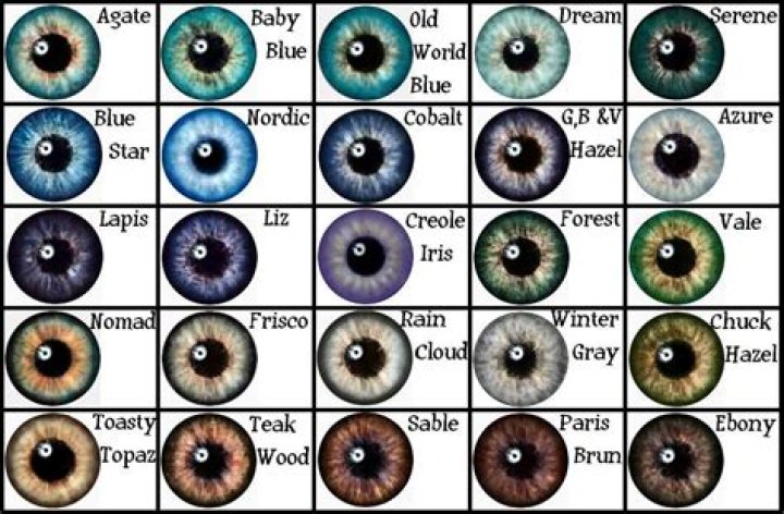 What is the best eye color for blue eyes?