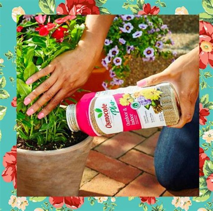 What is the best fertilizer to make flowers bloom?