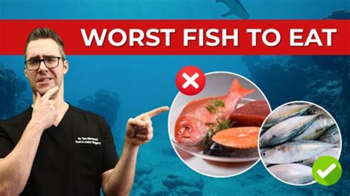 What is the best fish that doesn't taste fishy?