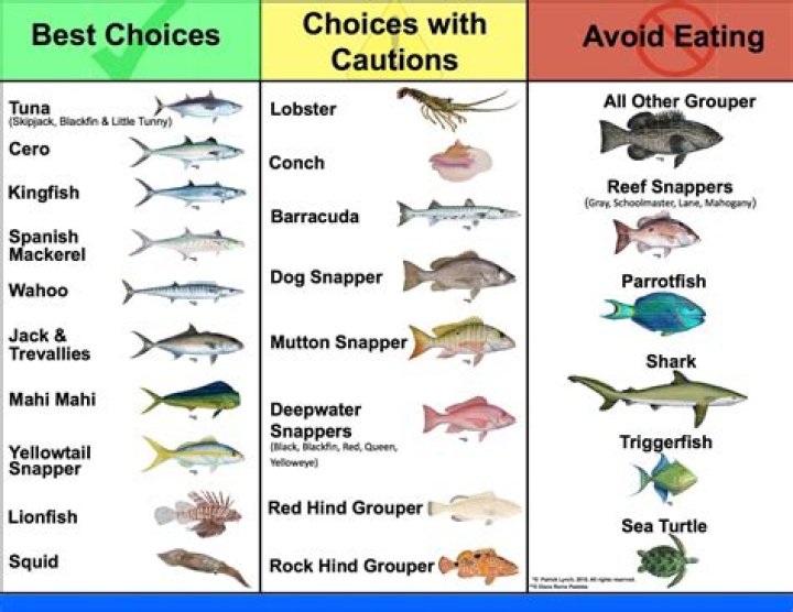 What is the best fish to eat raw?