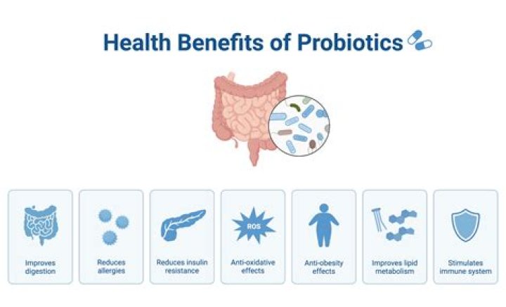 What is the best probiotic for gastritis?