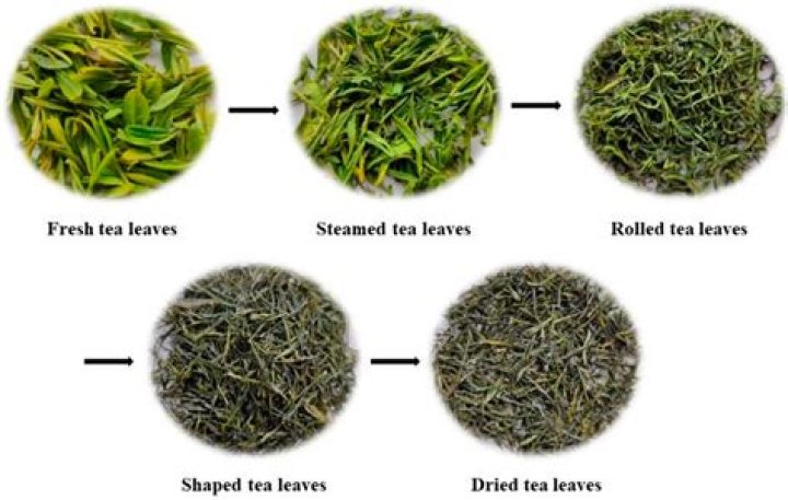 What is the best tea for nerve damage?