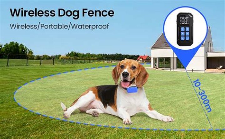 What is the best wireless dog fence on the market?