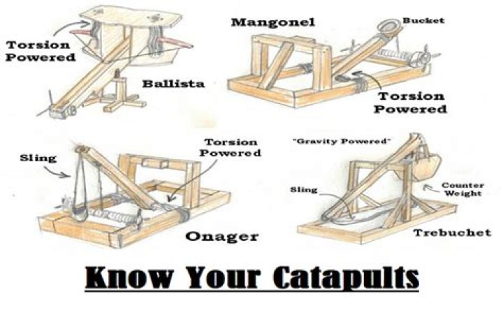 What is the catapult for in the forest?