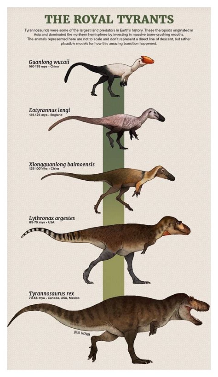 What is the closest ancestor to dinosaurs?