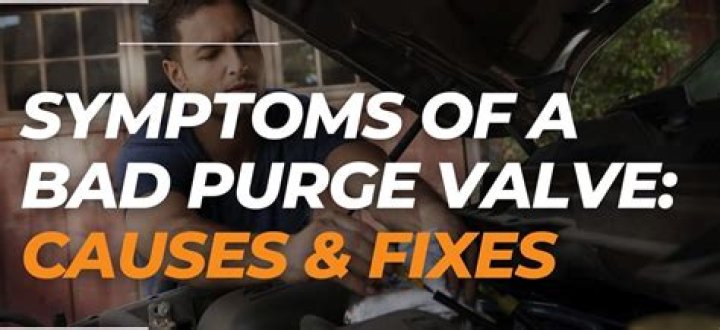 What is the code for a bad purge valve?