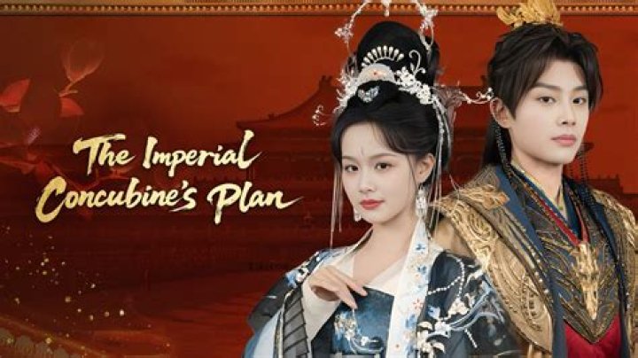 What is the difference between a wife and a concubine?