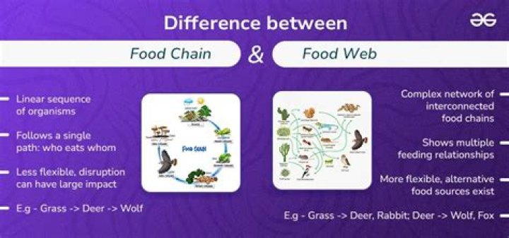 What is the difference between Guapo and Guapa?