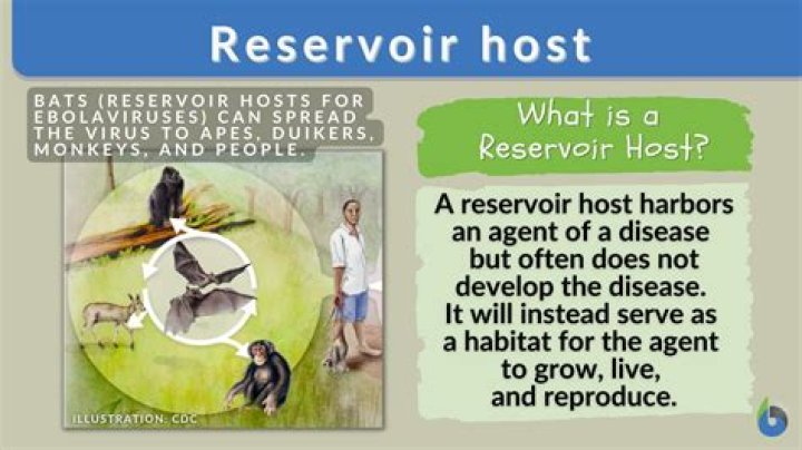 What is the difference between host and reservoir?