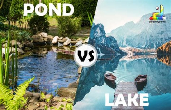 What is the difference between pond and lake?