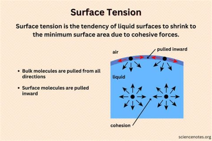 What is the example of surface?