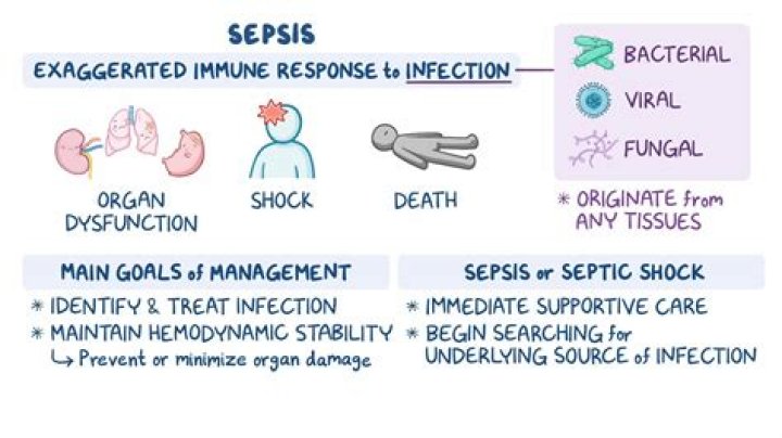 What is the first organ affected by sepsis?