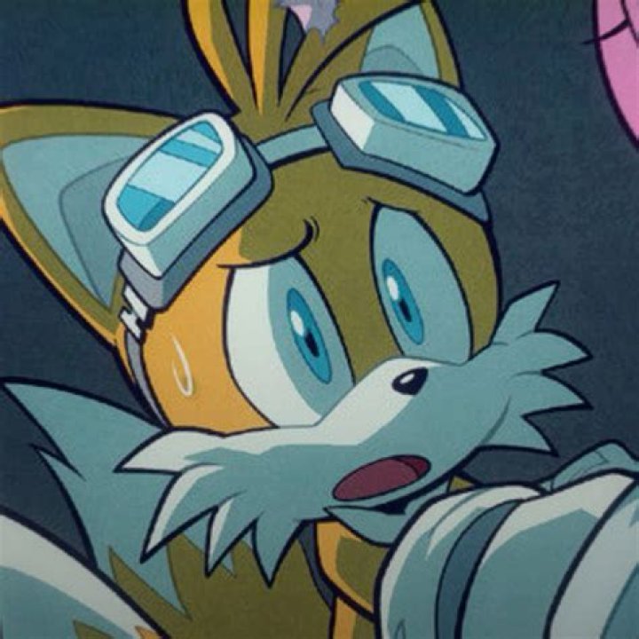 What is the fox's name in Sonic?
