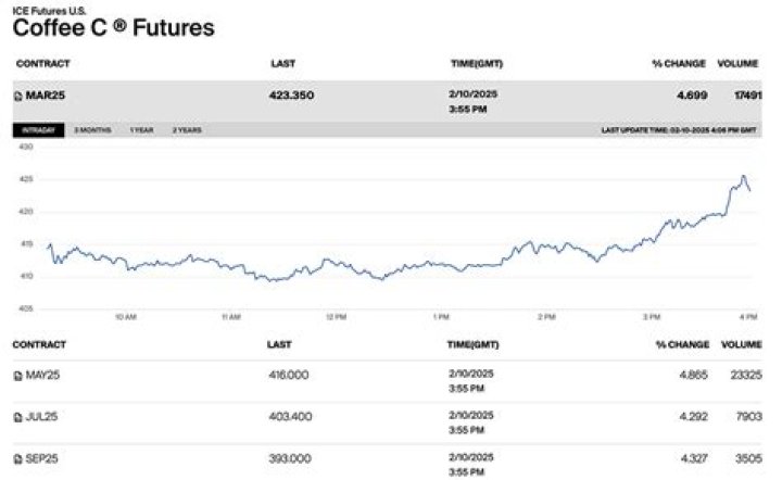 What is the future price of gas?