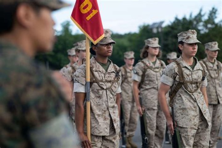 What is the green rope in the Marines?