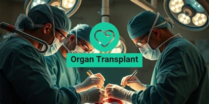 What is the hardest organ to transplant?