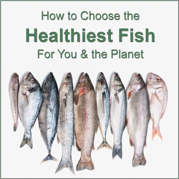 What is the healthiest fish you can eat?